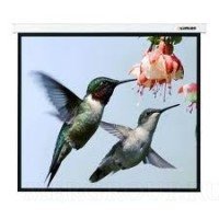 Master Large Control 284x441 см (раб. область 269x431 см) (200") Matte White