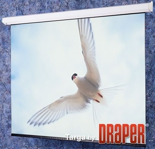 Экран для проектора Draper Targa HDTV (9:16) 302/119" 147x264 XT1000E (MW) ebd 30" case white