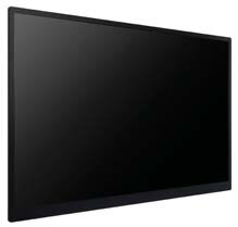 Panasonic TH-55LFV5W