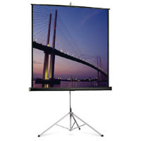 Экран Projecta Picture King 142 x 244 cm Matte White 16:9