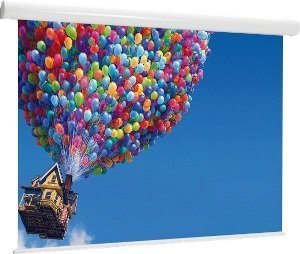 Экран для проектора Draper Targa HDTV (9:16) 467/184" 229x406 XT1000E (MW)