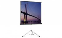 Экран Projecta FlexScreen 160x160 см (84") Matte White настенный рулонный 1:1