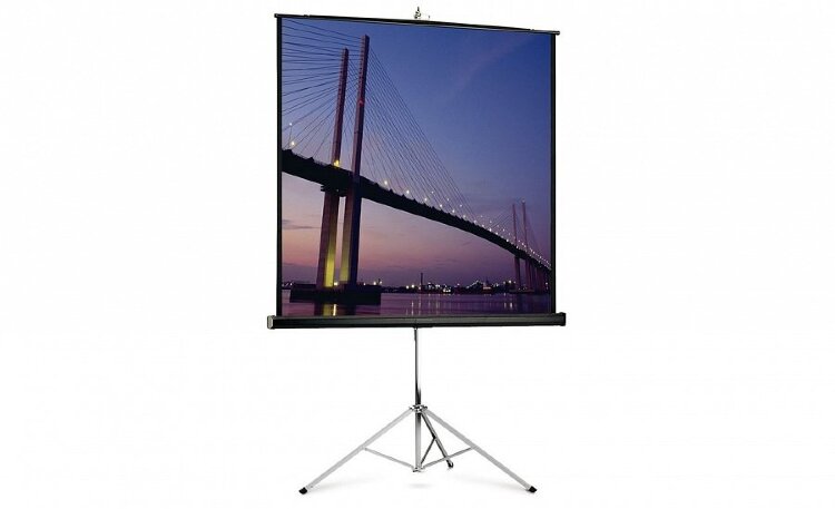 Экран Projecta FlexScreen 180x180 см (97") Matte White настенный рулонный 1:1