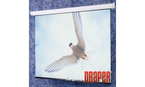 Экран для проектора Draper Targa NTSC (3:4) 335/11' 198x264 XT1000E (MW)
