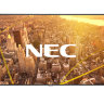 NEC C551