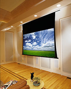 Проекционный экран Draper Access/V NTSC (3:4) 244/96" 152x203 XT1000V (M1300) ebd 12"