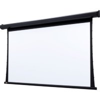 Экран для проектора Draper Premier HDTV (9:16) 302/119" 147x264 XT1000V (M1300) ebd 12" case black