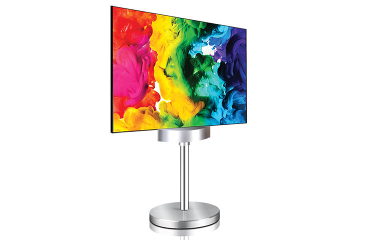 LG 55EH5C-S