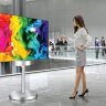 LG 55EH5C-S