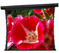 Экран для проектора Da-Lite Tensioned Cosmopolitan Electrol 152x203, Da-Mat