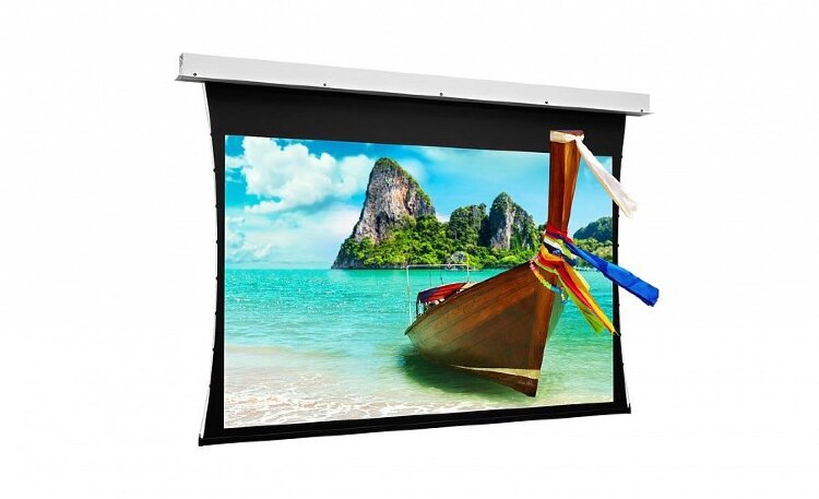 Экран Projecta Hapro CSR 173x300 см (136") Datalux 16:9