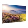 Экран Projecta FullVision 375x600 см (279