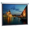 ProScreen 240x240см Datalux