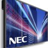 NEC V801