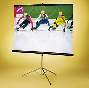 Экран для проектора Draper Diplomat AV (1:1) 96/96" 244x244 XT1000E (MW)