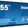 Iiyama TE5503MIS-B1AG